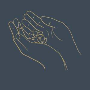 Finance, Provision & Abundance